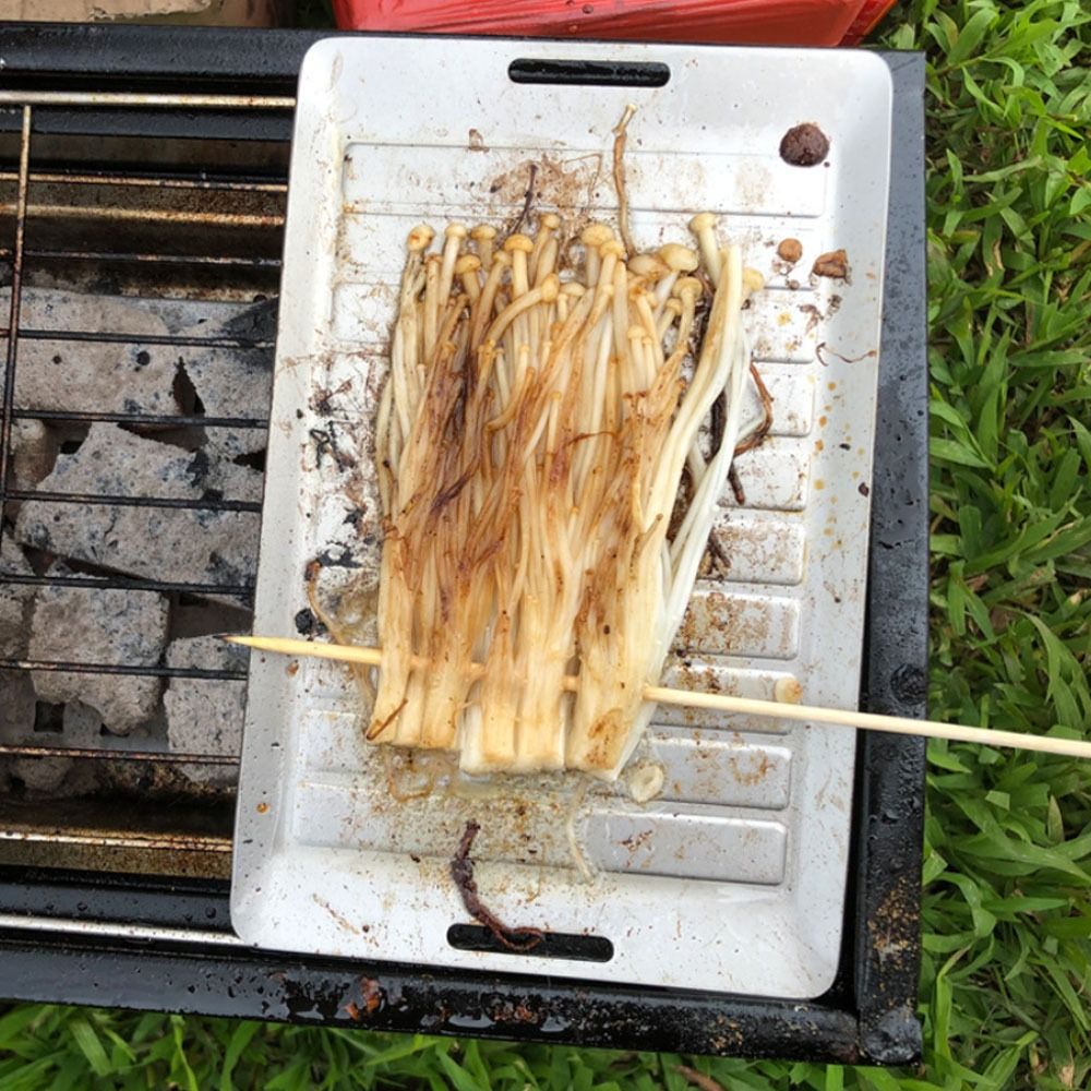 Durable Titanium Camping Grill - Camping Cooking Pan 评论和价格
